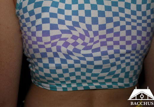 2022-2023  Bestuur Middelbrink & de Vries